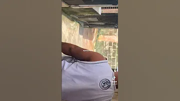 Dog Mating Pitbull Dog Trending Viral Pittbull NigNathAgro 
