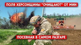 Посевная в самом разгаре: Войска РФ охотятся на украинских саперов. Работа фермеров под обстрелами