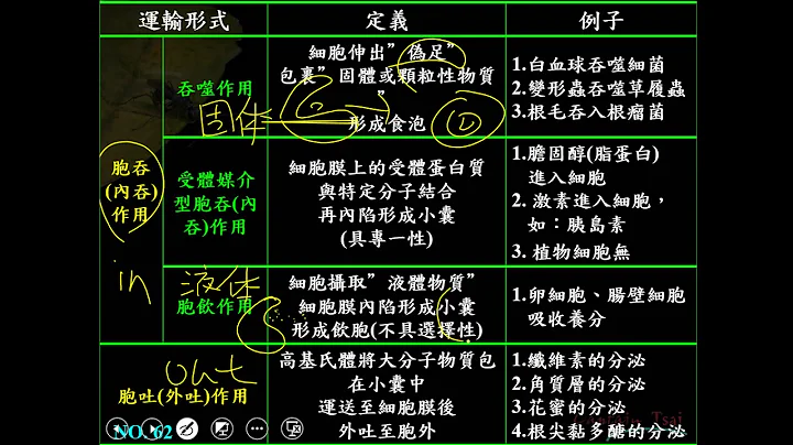 10702高二選修生物ch01 3 20大分子的運輸 胞吞與胞吐作用二恭 - 天天要聞