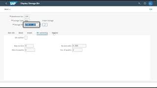 SAP Fiori (WM Process 3) - Step 7 Run Bin Status Report