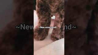 essa trend #essa #essacommunity Information