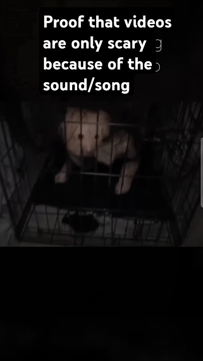 Proof that videos are only scary because of the sound/song (video from: @LifeofLuxury )