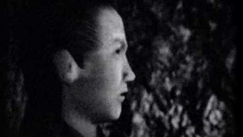 Fatal Frame I Cutscene- Folklorist