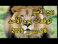 برج الأسد وتوقعات يوم الأحد 28 ديسمبر 2025 