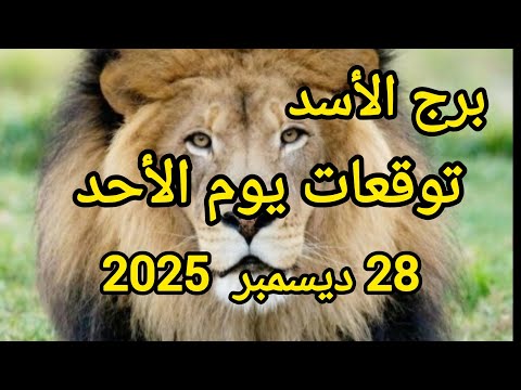 برج الأسد وتوقعات يوم الأحد 28 ديسمبر 2025