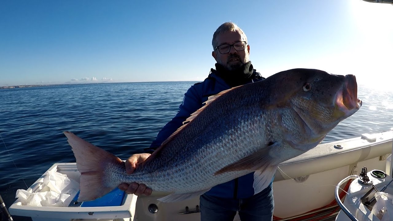 BURBURIN montaje del bajo para el denton