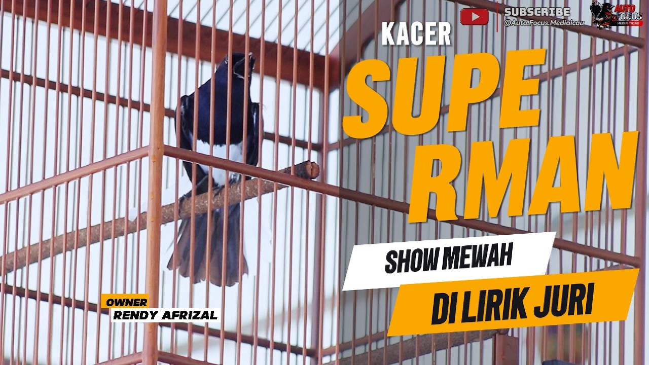 SHOW KACER SUPERMAN BIKIN JURI MELIRIK - HUT KOREM 041/GAMAS KE-80 BENGKULU