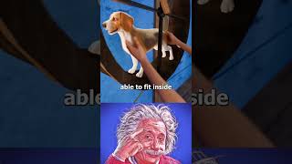 #Satisfying #MindBlowing#3DAnimation #VFX #CGI #MotionGraphics #DigitalArt #3DArtist #Cinema4D