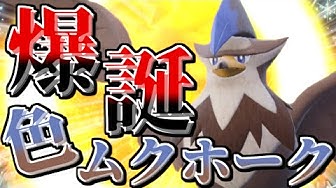 ムクホーク Youtube