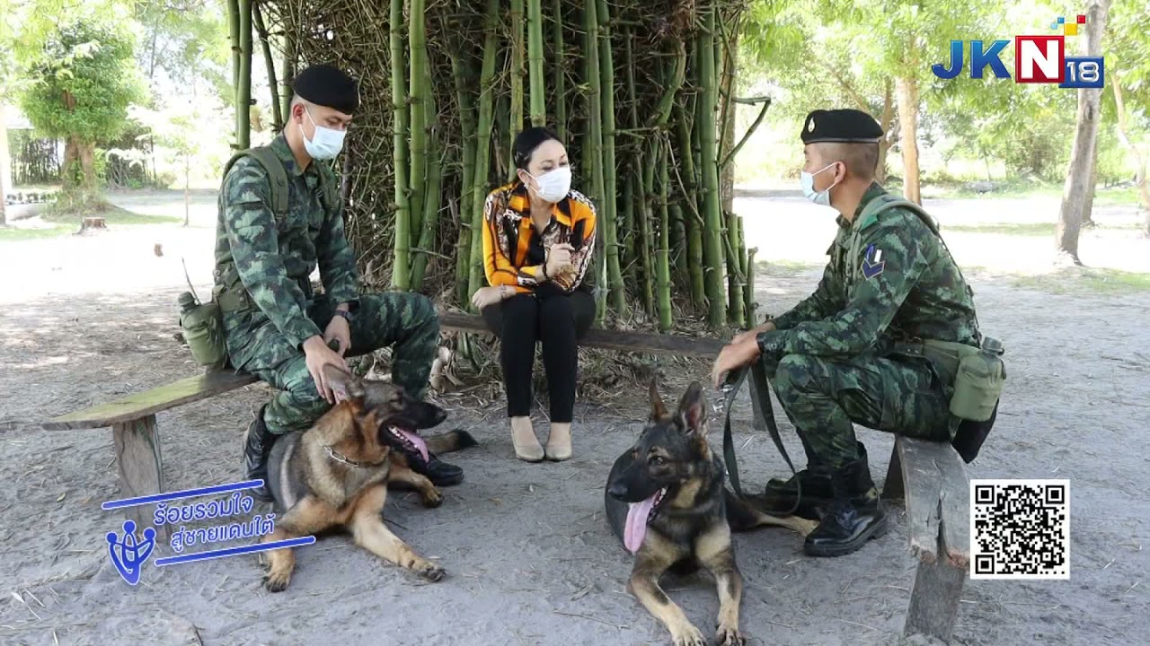 ร้อยรวมใจสู่ชายแดนใต้ ตอน เพื่อนสี่ขา กองร้อยสุนัขทหารอโณทัย On air
