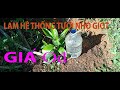 make a plastic bottle drip irrigation system