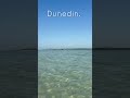#dunedin #beachlife #behere #dunedinflorida #discoverdunedin #dunedincauseway #whenindunedin
