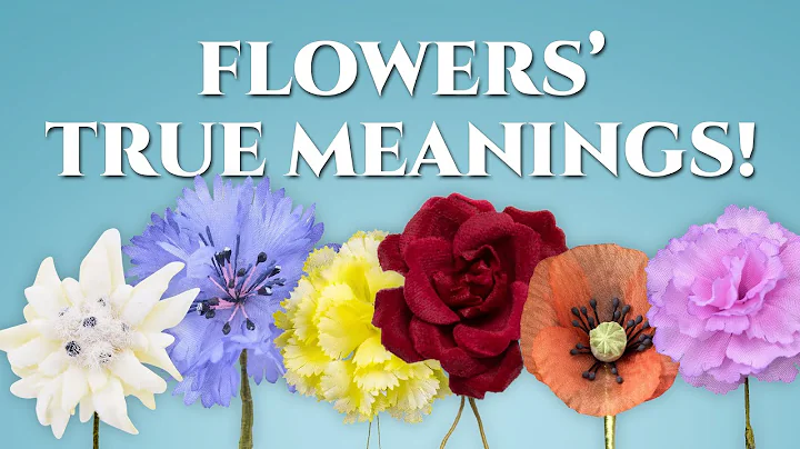 The True Meanings of Flowers, Revealed! - DayDayNews