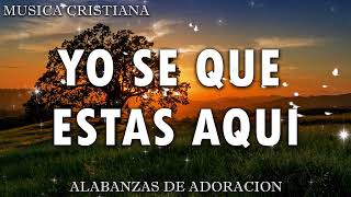 TU ESTAS AQUI: Poderosas Alabanzas De Adoracion Mix - Musica Cristiana 2024 - Himnos Cristianos by alabanzas de adoracion 527,871 views 2 months ago 51 minutes