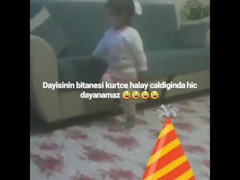 Kucuk kiz kurtce sarkiya dayanamiyor