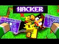 HO BARATO CONTRO MARCY USANDO LE HACK su MINECRAFT!