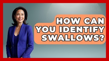 How Can You Identify Swallows? - Bird Watching Diaries