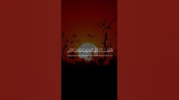 سورة آل عمران  #coran #quran #راحة_نفسية #قرآن