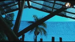 CINEMATIC 30 DETIK || GOAT PEN  ( kandang kambing)