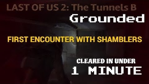 LAST OF US 2 The Tunnels B SHAMBLERS ENCOUNTER GROUNDED GHOST