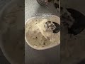 why does digging in ice cream feels like your mining for gold and coal?