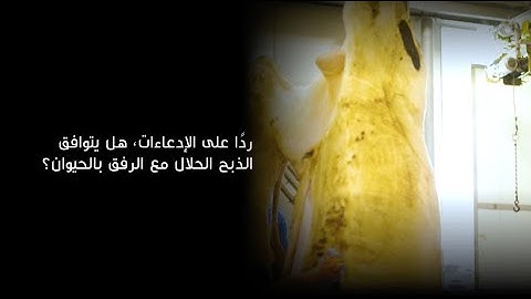 فهد الكندري- فسيروا 2 | رداً على الإدعاءات هل يتوافق الذبح الحلال مع الرفق بالحيوان