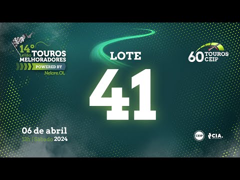 LOTE 41 V9012222 - 14º Leilão de Touros Melhoradores Nelore OL - Edição Virtual