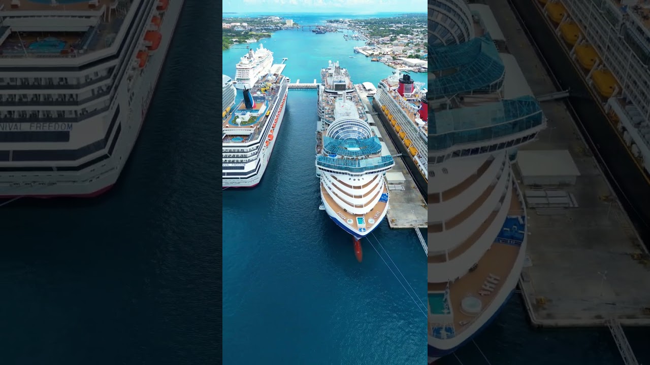 Which cruise ship would you want to sail on?