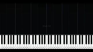 #3a Uji Rashid & Hail Amir - Seloka Hari Raya Piano