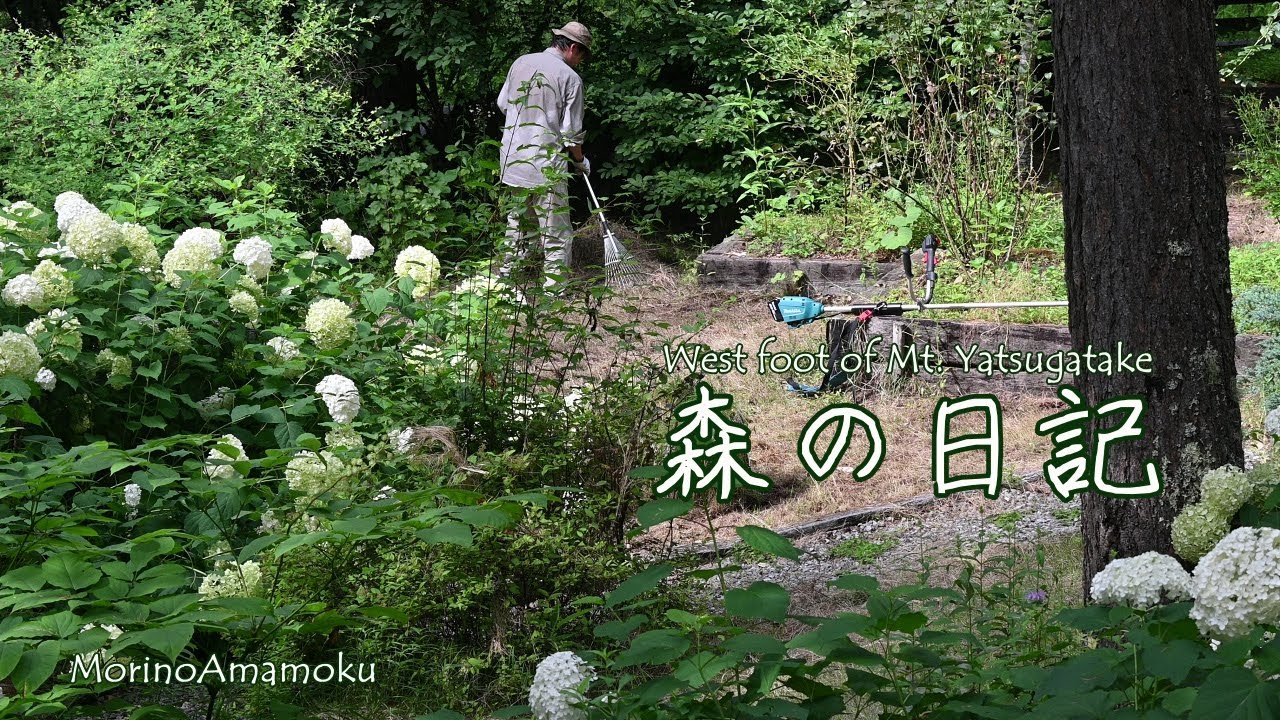 別荘外のメンテ三種の神器/草刈り機/高圧洗浄機/ブロアー/サワードゥブレッドを焼く