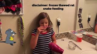Feeding Firefly the Ball Python