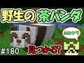 ふたクラ 180 超レアの野生の茶色パンダを見つけるまで帰れません マインクラフト マイクラ実況 