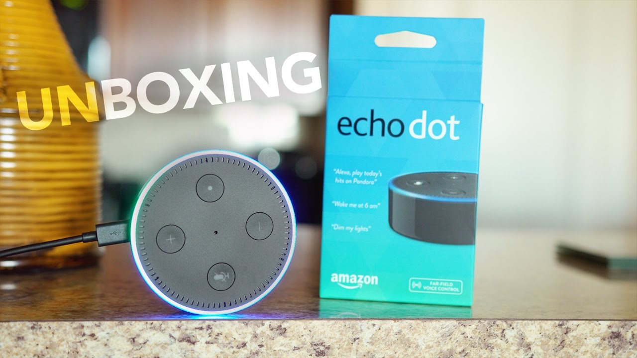 echo dot what's in the box