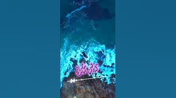 سورة مريم القارئ حمزة مدبوح