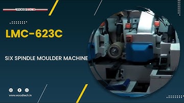 WOODTECH/LEADERMAC - MODEL - LMC-623C SIX SPINDLE MOULDER MACHINE #woodtechchannel #factoryshorts