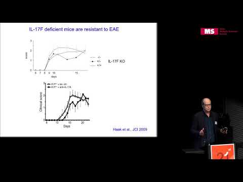 Video: Folatrezeptor-gezielte Positronenemissionstomographie Der Experimentellen Autoimmun-Enzephalomyelitis Bei Ratten