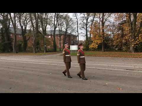 Marching & halting Pair, slow time
