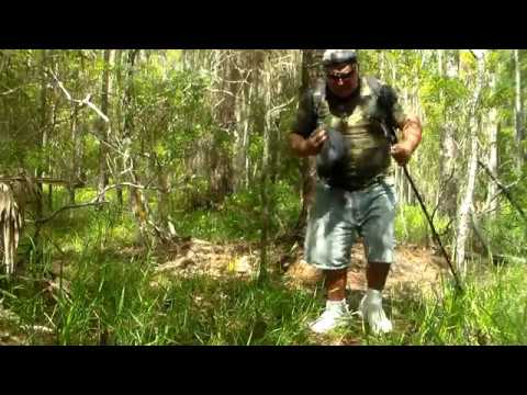 riverdale Something Wants Me OUT of the SWAMP