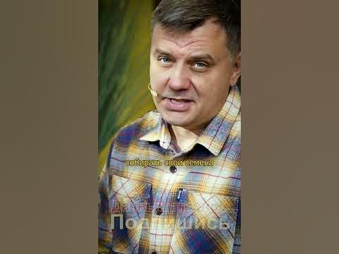 Огурцы F1 ЛУЧШЕ??? Дачный агроном - YouTube