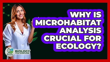 Why Is Microhabitat Analysis Crucial For Ecology? - Biology For Everyone