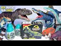 UNBOXING NEW JURASSIC WORLD DINOSAURS! Spinosaurus, T-Rex, Elasmosaurus, Scutosaurus, Allosaurus