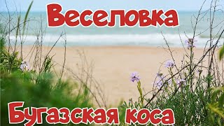 Веселовка Черное море/Бугазская коса/Лучшие пляжи Темрюкский район Краснодарский край