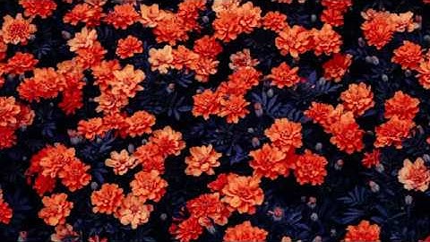 [NSUPS] How to submit vjudge solutions in Java [Bangla]