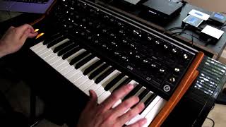 Moog Sub 37 Lead Synth Solo Lofi Hip Hopjazz - Joe Aielli