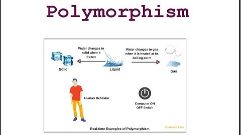 Video-29 Polymorphism in JAVA #javaprogramming  #javaforbeginners#java