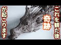 突然、この動画が表示された方は幸運の持ち主です。これはあなたを幸福へと導く動画です。これが観れたあなたには、この後、奇跡が起こります。