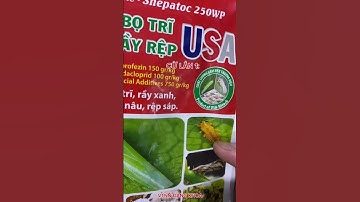 CHIA SẺ CÁCH PHỐI THUỐC ĐẶC TRỊ RẦY XANH, RẦY NHẢY HIỆU QUẢ( luân phiên các hoạt chất thuốc ).