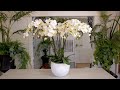 A big white Orchid floristry design!