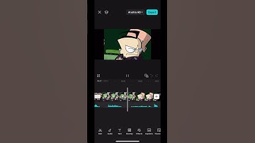 I’ve seen your search history [invader zim voiceover] #invaderzim#voiceover#givemykidsback