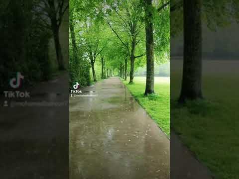 عاصي الحلاني مالي صبر ياناس لا لا تلوموني